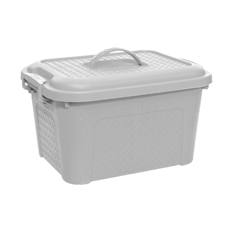 CAJA MULTIUSOS RATTAN 15 L X 18 UND GRIS