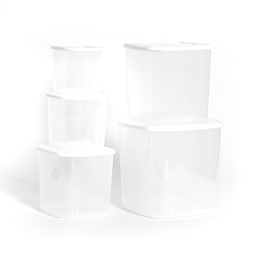 [06579/BLANCO] CONTENEDOR MULTIUSOS SET X 5 X 6 UND BLANCO